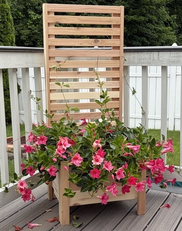 Raised flower planter with a wood trellis